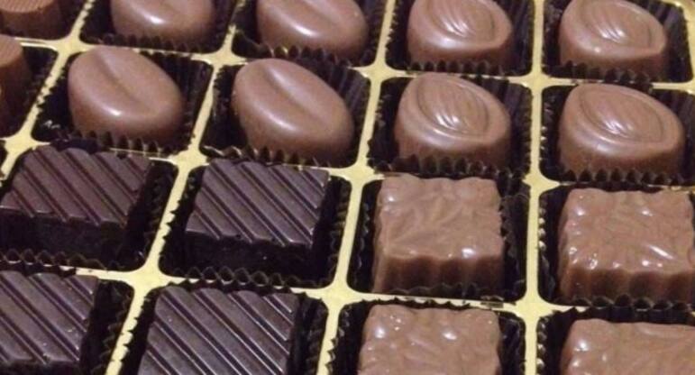 Melodi Cikolata Esenyurt Merkez Istanbul